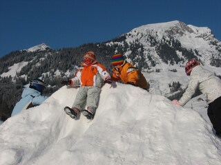 Appartamento per vacanze Abtenau Ambiente 15