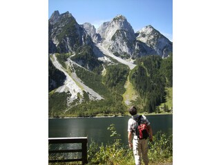 Appartamento per vacanze Abtenau Ambiente 21