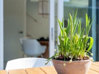 Maison de vacances Oostkapelle  37