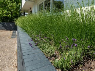 Holiday house Veere Outdoor Recording 15