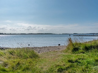 Ferienhaus Veere Umgebung 36