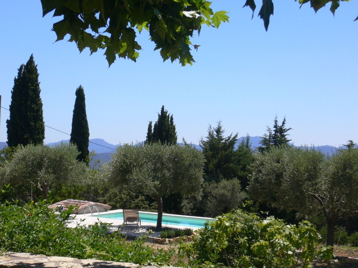 The pool in between the olive trees