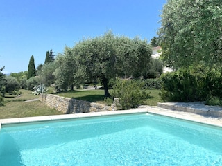 Blick vom Pool in den weitläufigen Garten