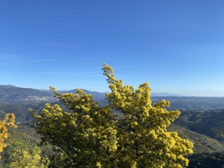 Casa de vacaciones Montauroux Entorno 32