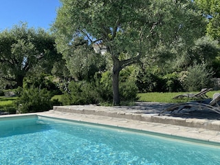 Der Pool inmitten der Oliventerrassen