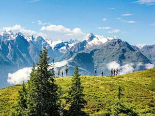 Maison de vacances Niedernsill Environnement 36