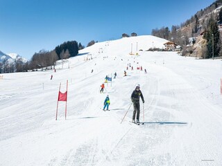 Maison de vacances Niedernsill Environnement 1