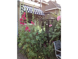 Appartamento per vacanze Castricum Registrazione all'aperto 6