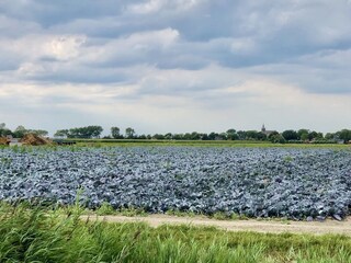 Bungalow Sint Maartenszee Omgeving 24