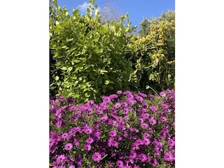 Villa Saint-Pabu Ambiente 36