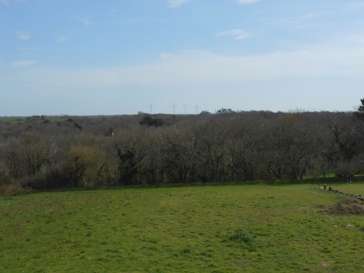 Blick vom Balkon auf das Naturschutzgebiet