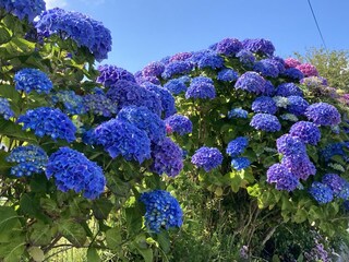 Villa Saint-Pabu Ambiente 40