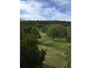 Holiday house Stiege Environment 10