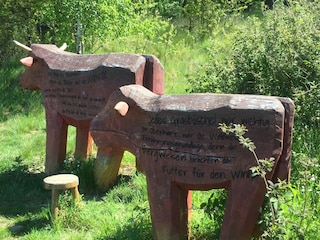 Die roten Kühe bei Hasselfelde
