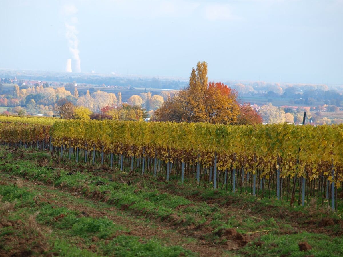 Umgebung im Herbst