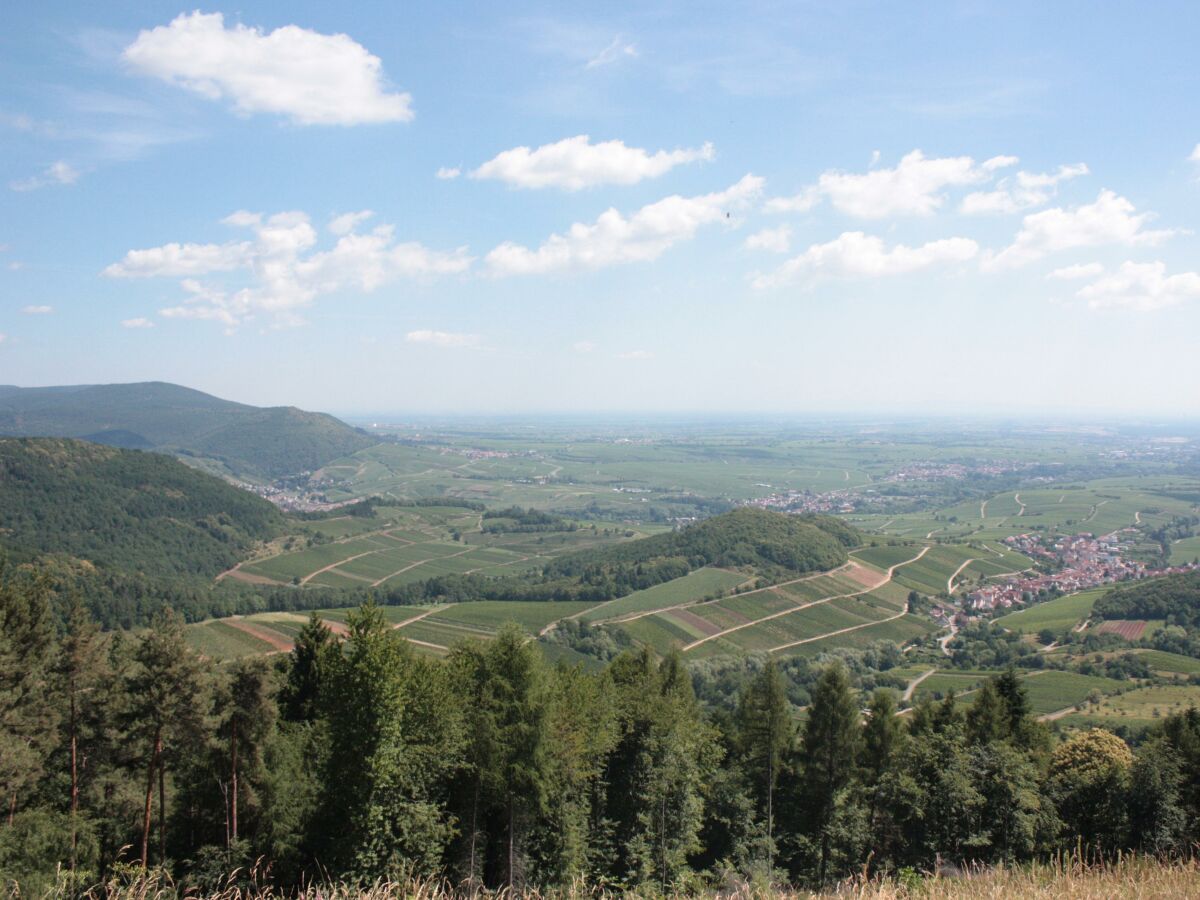 Föhrlenberg_Nicola Hoffelder, SÜW Landau-Land e.V.