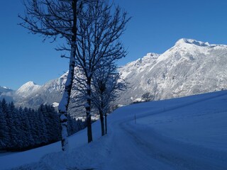 Spaziergang Winter