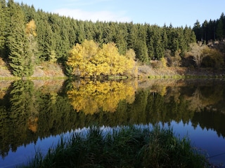 Hasselvorsperre Hasselfelde