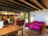 Holiday cottage Savignac-Lédrier Features 1