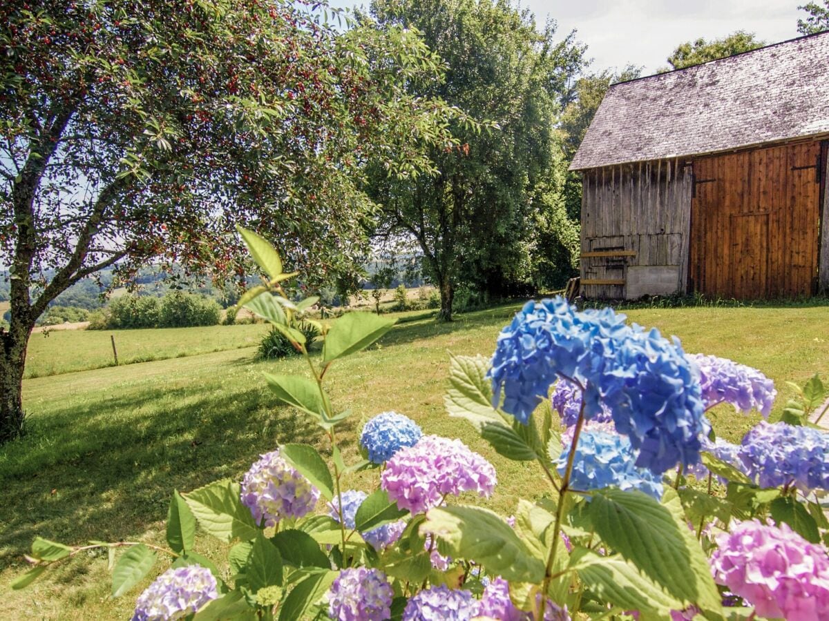 Cottage Savignac-Lédrier Außenaufnahme 4