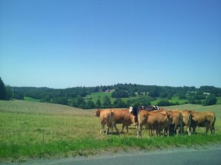 Maison de vacances Savignac-Lédrier Environnement 18