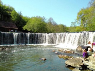 Holiday cottage Savignac-Lédrier Environment 30