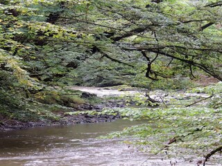 Maison de vacances Savignac-Lédrier Environnement 25