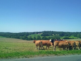 Vakantiehuisje Savignac-Lédrier Omgeving 34