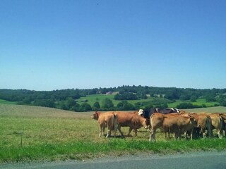 Maison de vacances Savignac-Lédrier Environnement 23