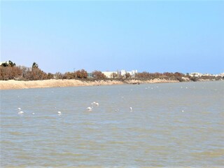 Appartement Pilar de la Horadada Omgeving 33