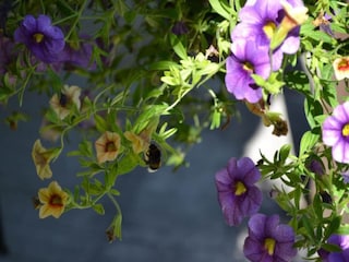 Ferienhaus Villiers-Couture Umgebung 33