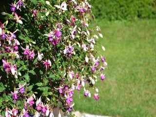 Maison de vacances Villiers-Couture Environnement 25