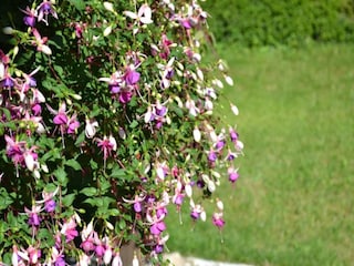 Holiday house Villiers-Couture Environment 38