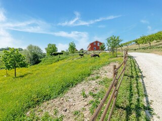 Appartement Matelica Environnement 30