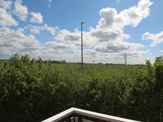 Landschaft