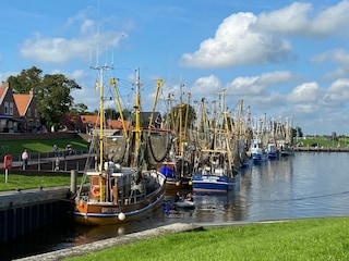Landschaft