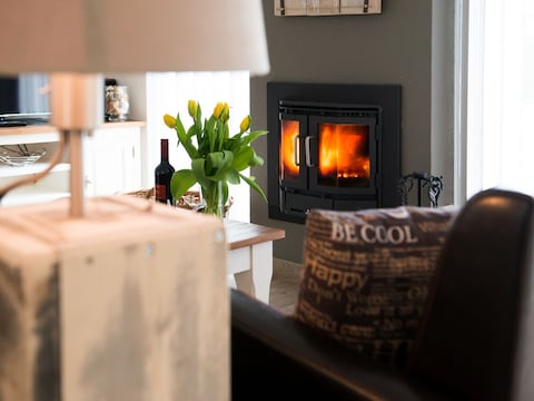 Holiday apartment Texel island with fireplace and shower, pets allowed