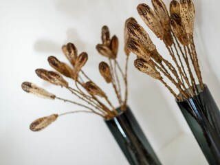 Casa per le vacanze Wenningstedt Caratteristiche 27