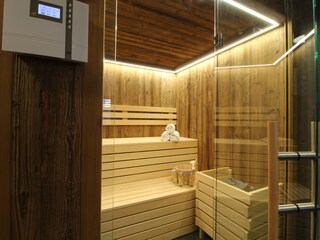 Appartamento per vacanze Kirchberg in Tirol Caratteristiche 13