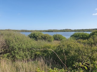 Hammersee