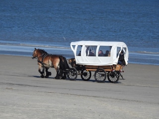 Strandfahrt im Planwagen