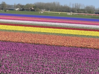 Casa per le vacanze Julianadorp Registrazione all'aperto 6