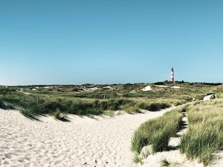 Amrumer Dünen und Leuchtturm