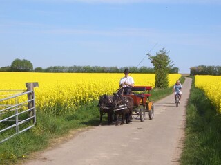 Wanderweg zum Schwansener See