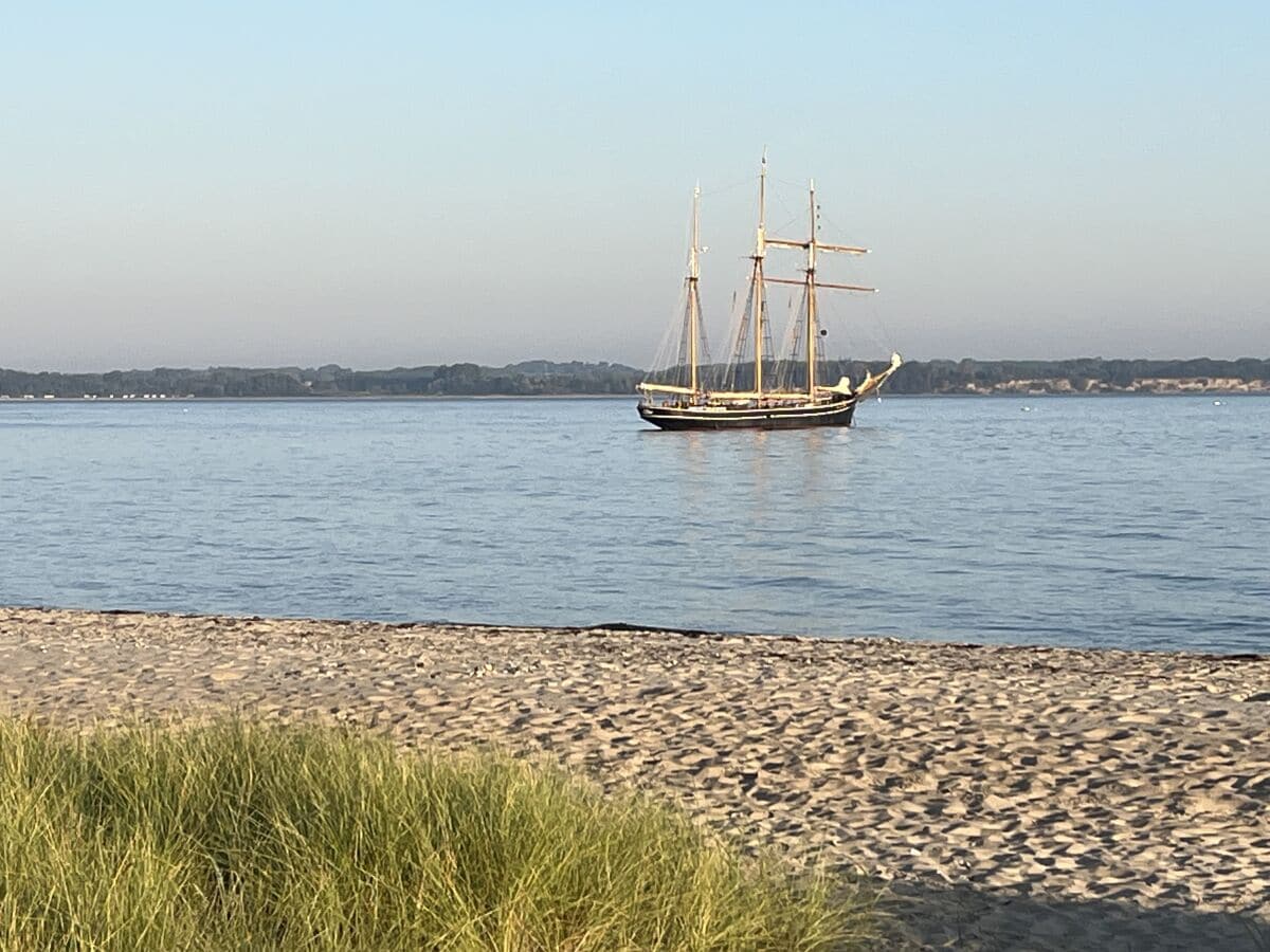 Segelschiff im Morgenlicht II