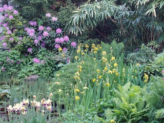 Vakantieappartement Lana Buitenaudio-opname 7