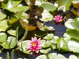 Appartamento per vacanze Lana Registrazione all'aperto 8