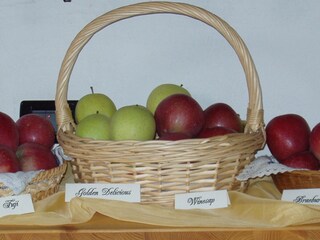 Holiday apartment Lana Outdoor Recording 9