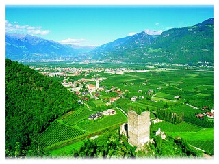 Appartamento per vacanze Lana Ambiente 17