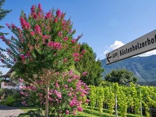 Appartamento per vacanze Lana Registrazione all'aperto 5